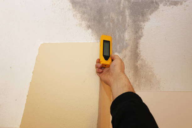 Best Commercial Mold Inspection  in Vienna, WV