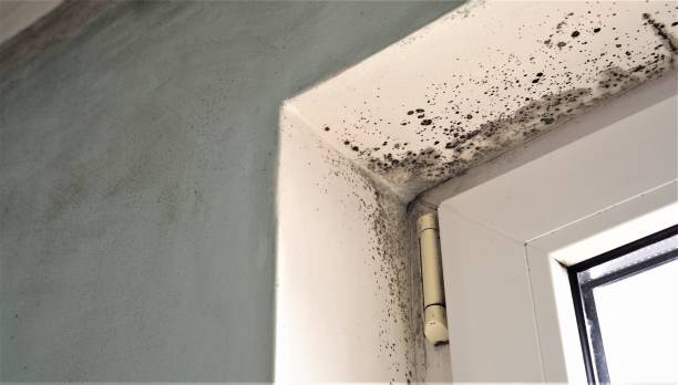 Best Indoor Air Quality Assessment  in Vienna, WV