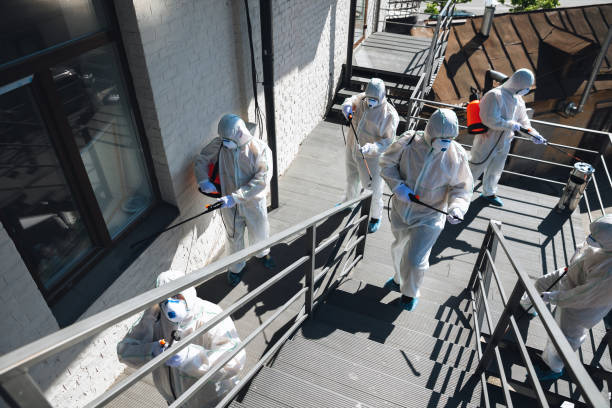 Best Attic Mold Removal  in Vienna, WV