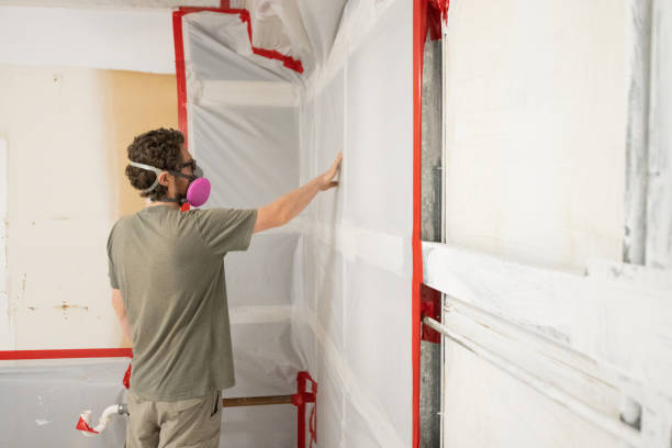 Reliable Vienna, WV Mold Removal Solutions