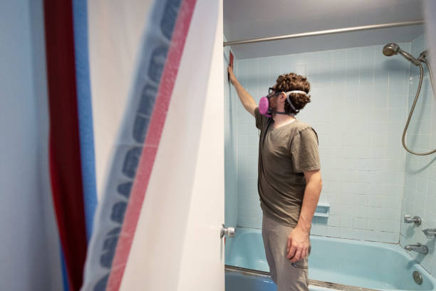 Best Mold Damage Restoration  in Vienna, WV