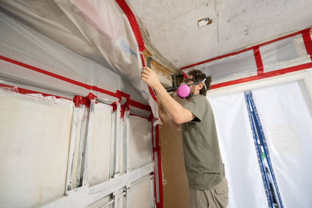 Best Environmental Consulting for Mold Prevention  in Vienna, WV