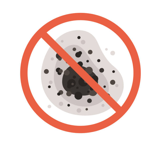 Best Air Quality Testing for Mold Spores  in Vienna, WV