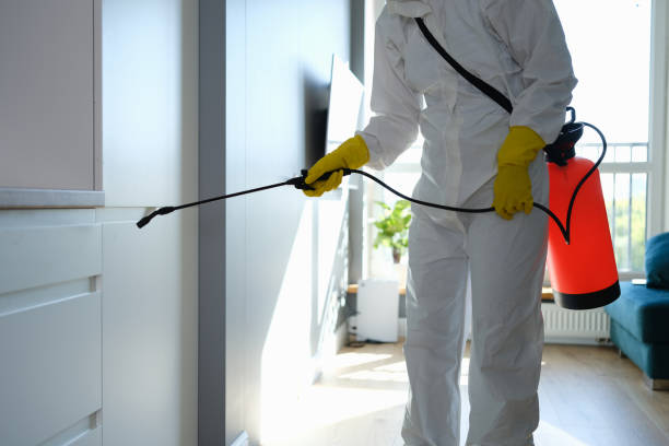 Best Post-Construction Mold Inspection  in Vienna, WV