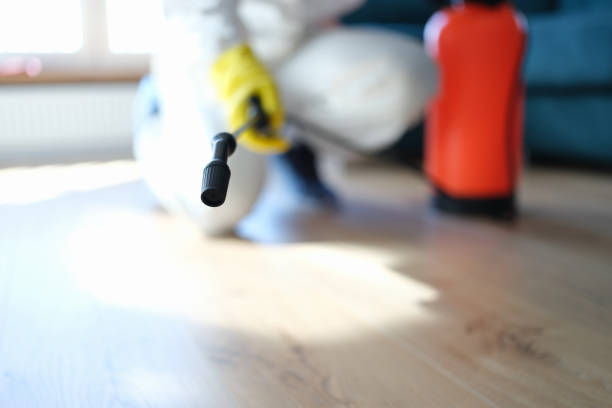 Best Emergency Mold Remediation  in Vienna, WV